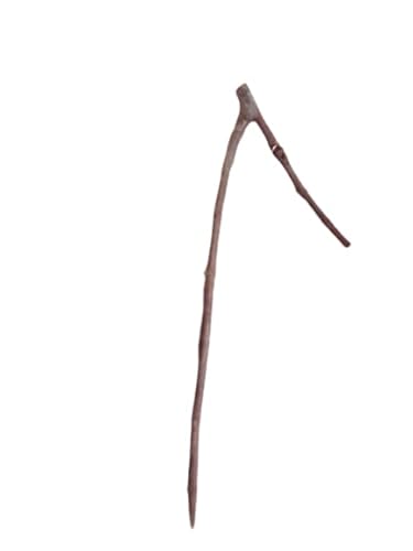 Poleiro para Calopsita, Natural