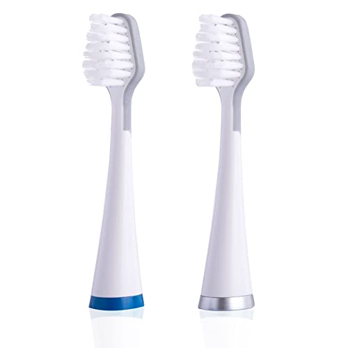 Têtes de rechange pour brosse à dents Berdsen B1 B2