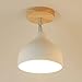 PLSDH Plafonnier Blanc Moderne, Garde De Lampe en Fer Vert, Plafonnier Semi-encastré À Têtes Réglables, E27, Éclairage Suspendu Au Plafond en Fer + Bois, pour Couloir, Foyer, Pépinière (5,9 Pouces)