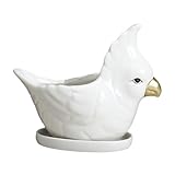 Pot de fleurs - l'adorable pot de fleurs de dessin animé s'accorde parfaitement avec plantes , pot de fleurs