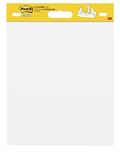 BP1107 Mini Meeting Charts 45,7 x 38,1 cm, 20 f.