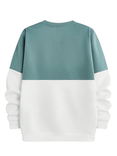 SweatyRocks Men's Letter Graphic Color Block Sweatshirt Long Sleeve Crew Neck Pullover Tops2