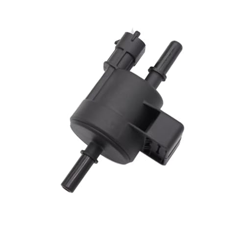 Électrovanne de purge canister résout voyant moteur Chevrolet Express et Silverado
