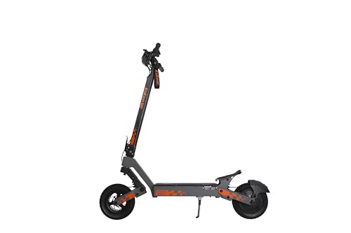 Patinete eléctrico de 10 Pulgadas, Velocidad máxima 25 km/h, Pendiente de 20°, Frenos de Disco Delanteros y Traseros, con Intermitentes Izquierdo y Derecho, Impermeable IPX4