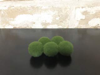 まりもさん専用☆ Amazon | 模造まりも1.8cm 5個セット | AQUA sub