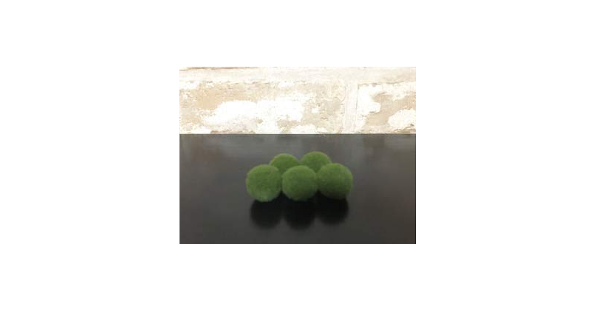 Amazon | 模造まりも1.8cm 5個セット | AQUA sub | 人工水草 通販