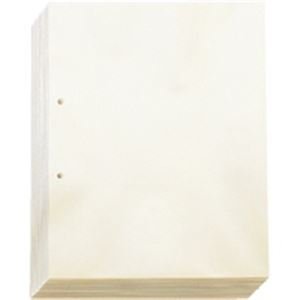 iƖp2ZbgjLOW |Pbg 103-100 A4-S 2 100 D ×2Zbg pi CeA G  ItBXpi t@C oC_[ NAP[X NAt@C [sAi]