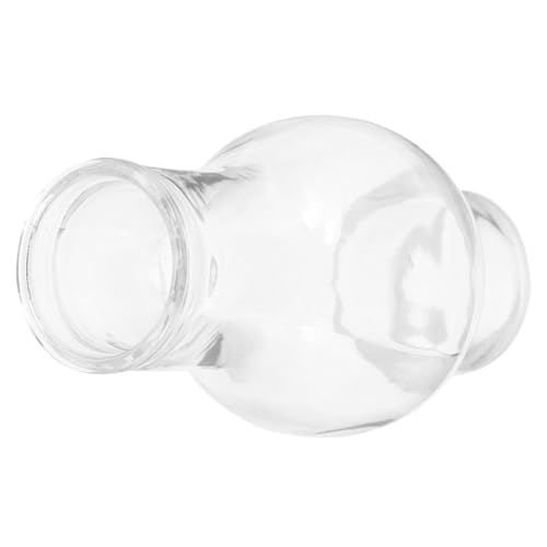 Alipis Pantalla de aceite con mecha de globo vintage, faroles transparentes para exteriores, lámpara de parafina de aceite, pantalla grande, chimenea, encendedor, lámparas de aceite para uso en