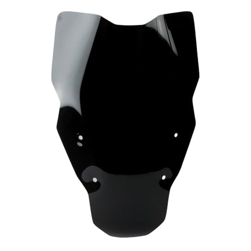 Pare-Vent R 1300 GS de Haute Qualité pour Bulle Moto R1300GS