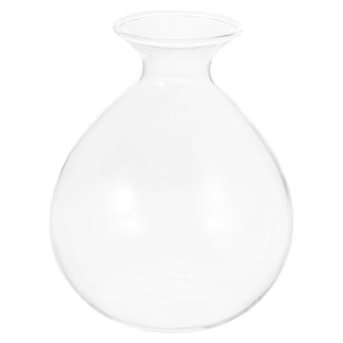 NOLITOY 日式透明ガラス多肉植物花瓶 アボカド種子水耕栽培プランター 家菜園用鉢 おしゃれなインテリア装飾用