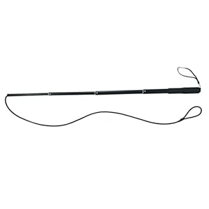 Retractable Dog Training Stick Interactive Teaser Toy for Puppies and Dogs Ideal for Training and Playtime Durable Chew Toy for Engaging Pet Activities