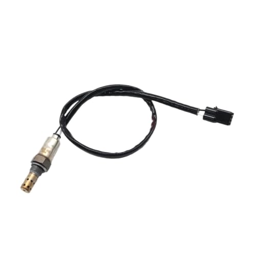 Sonde lambda pour corriger le rapport air-carburant de la Triumph Tiger 800