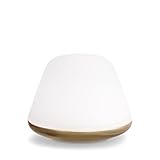  Bloom Lampe à Poser 38cm Laiton, Verre Opalin, Gradateur Sur Cordon 1x E27