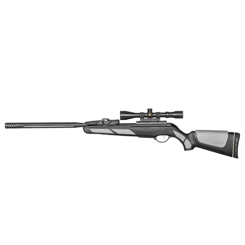 Gamo Swarm Viper 10X GEN3i .22 Cal. 10 Pellet Multi-Shot Inertia Fed Pellet Air Rifle