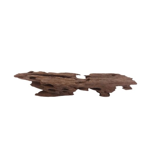 AquaOne Honey Comb Racine d'aquarium M N° 3755 Racine de mangrove Décoration d'aquarium en bois naturel
