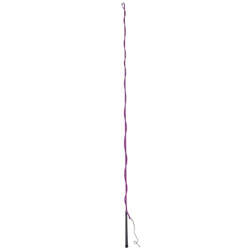Dublin Lunge Whip Purple 64