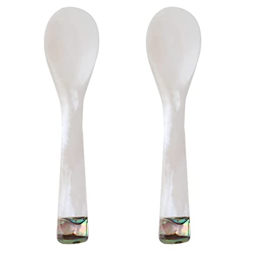 ULTECHNOVO 2 Piezas Cuchara De Conchas Naturales Bol Cucharón Caldo Chaquetas Cucharas De Helado Tapa Colador Atender Cuchara De Pastel Cucharas De Sopa Cuchara De Café De Concha Caparazón