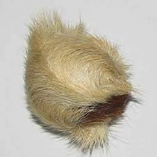 BlackEye kasturi Kaya- Look Alike - White