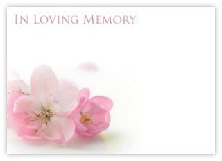 celloexpress In Loving Memory (Pink Prunus) Flower Message Cards - 90mm x 125mm - Bereavement Florist Card Sympathy Condolences Notes (Pack of 12)