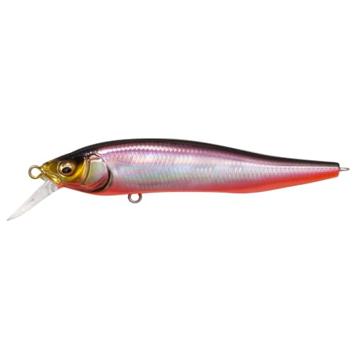 Amazon.co.jp: Megabass(メガバス): ミノー