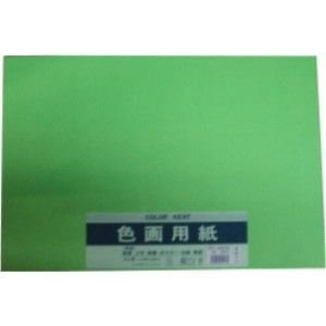 Amazon.co.jp: マルアイ 色画用紙 N433 きみどり Pエ-N43YG おまとめ