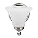 Norwell Lighting 9661-BN-FL Soleil - One Light Wall Sconce (Brushed Nickel)