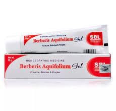SBL Berberis Aquifolium Cream 25gms (Pack of 5)-picture-19