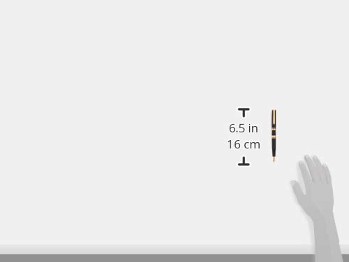 Amazon | PLATINUM プラチナ万年筆 #3776ギャザード ブラック 中字 PTB