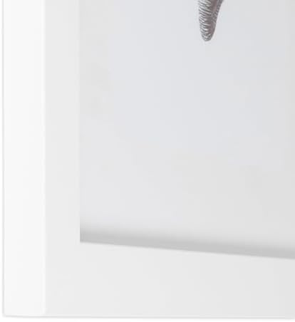ArtToFrames 11x11 inch Satin White Frame Picture Frame, 2WOMFRBW26074-11x11 — view 4