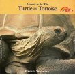 Turtle and Tortoise (Animals in the Wild Series) 0590421336 Book Cover