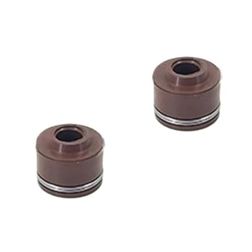 Joint d'huile moto pour stopper les fuites sur 450NK 450SR 450MT 450CLC