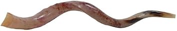 Yemenite Shofar, Large