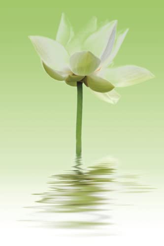 Lotus Reflections Journal: Combo caderno e caderno de esboços | papel forrado e em branco | design de flor de lótus