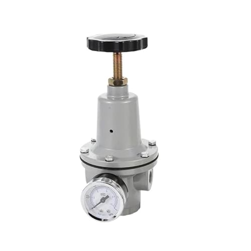 Régulateur d'air pneumatique 0-40 bar QTY-08 manomètre raccord air comprimé