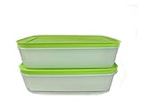 spülmaschinenfest TUPPERWARE Gefrier-Behälter 1,0 L grün-weiß flach (2) Eis-Kristall Eiskristall