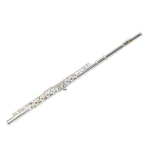 E L[ C g[̃t[gy 16 I[vƃN[Y̌S҂ɓKĂ܂ t[g؊Ǌy