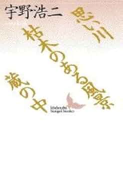 思い川・枯木のある風景・蔵の中 (講談社文芸文庫 うC 1) | 宇野