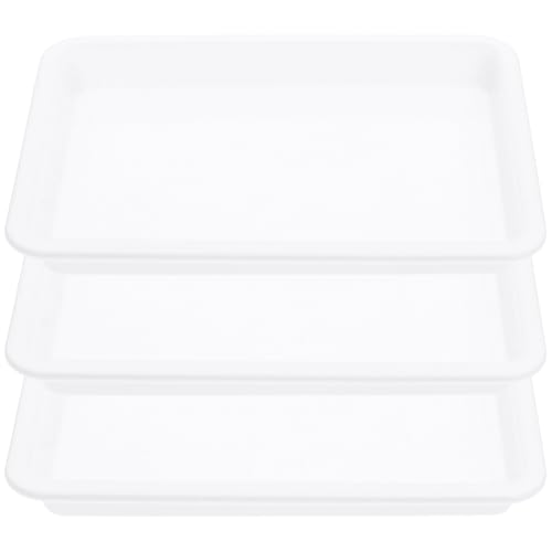 PERSELOSO Bandeja de Plástico para Experimentos de Pintura A5 para Niños 3 Unidades Color Transparente Duradera y Segura Actividades Escolares Manualidades Creativas