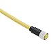 Telemecanique XZCPY1764L2 Female Connector Cable, Pre-Wired, Straight, 5 Pins, 6