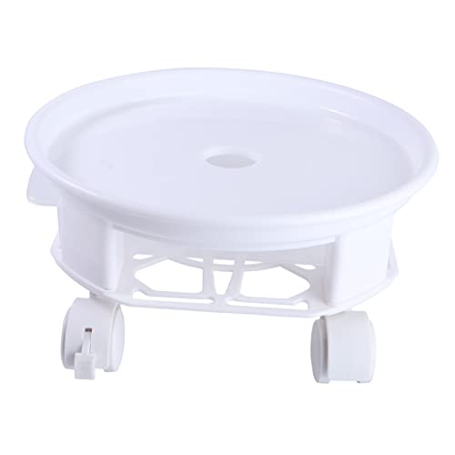 Zynphancer OpvX`bNAؔX^h [OzC[t ? ]ogC ϋv݌v  oRj[Ή (24x24cm,)