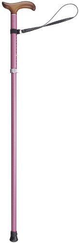 tWz[ cӃvX PC Oiڂj MTCY