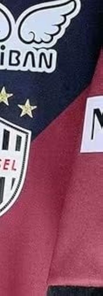 Amazon.co.jp: [HALASRTB] 2025シーズン ヴィッセル神戸