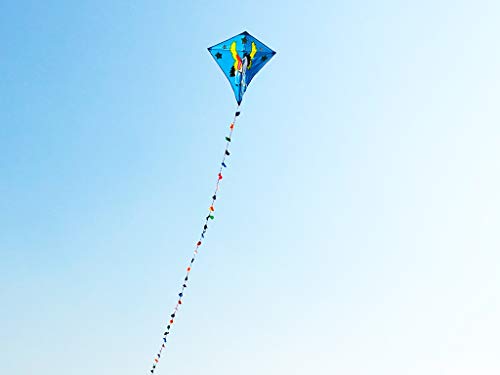 ZHUOYUE Kids Kite Easy Flyer Single Kites ,Quality Fabric Large Diamond Kite with Long Tail and Flying Tool