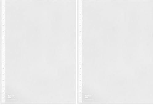 Esselte, Funda perforada multitaladro (16 taladros), tamaño folio para proteger documentos en casa, oficina o en el colegio, bolsa 10 unidades, PP (polipropileno) 100% reciclable, 85µ, 56200