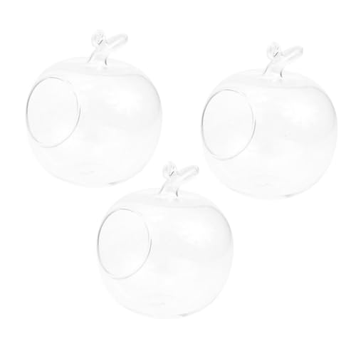 Toyvian 3 Pièces Vase Verre Transparent Forme de Pomme Conteneur Hydroponique pour Micro Paysage Décoration de Bureau et Intérieur Pot de Plantes Clair et...