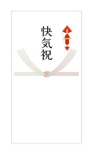包装紙+のし掛け 【結び切り水引10本】 結婚内祝い 引き出物
