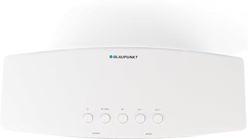 Blaupunkt MR 100 Bluetooth-Lautsprecher mit WLAN und Aux In