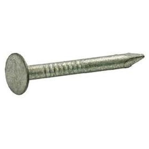 1 lbs 2 in. Roofing Hot-Dipped Galvanized Steel Nail with Smooth Shank Flat - Pack of 12