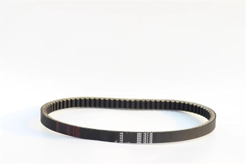 Courroie de transmission pour Sym JET14 125 et SYMPHONY 860x19.5