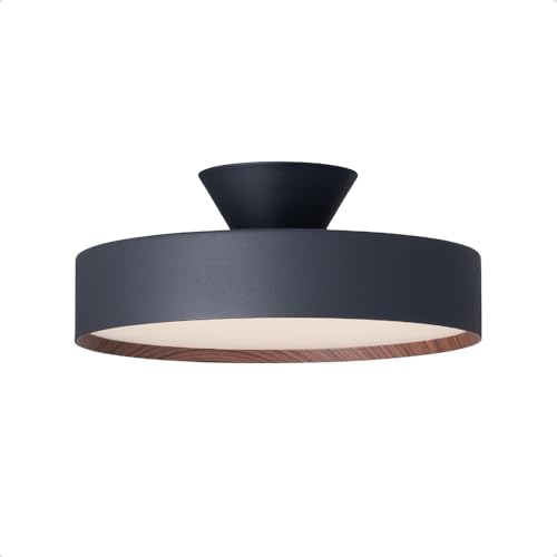 A[g[NX^WI O[ 5000 LED V[OCg `12p 40000  F (gF/F ؂ւ) ԐڏƖ@\ Rt AW-0556E-BK/LW (ubN + CgEbh)yLEDdz